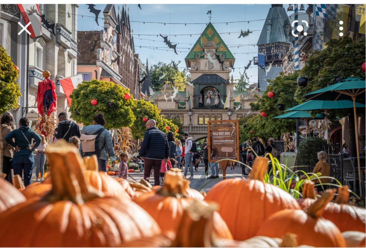 Location Mh Situee A 15 Mn D Europa Park Et Rulantika Διαμέρισμα Boofzheim Εξωτερικό φωτογραφία